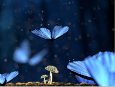 DİYANET İŞLERİ BAŞKANLIĞINCA YÜRÜTÜLEN MANEVİ DANIŞMANLIK VE REHBERLİK HİZMETLERİ