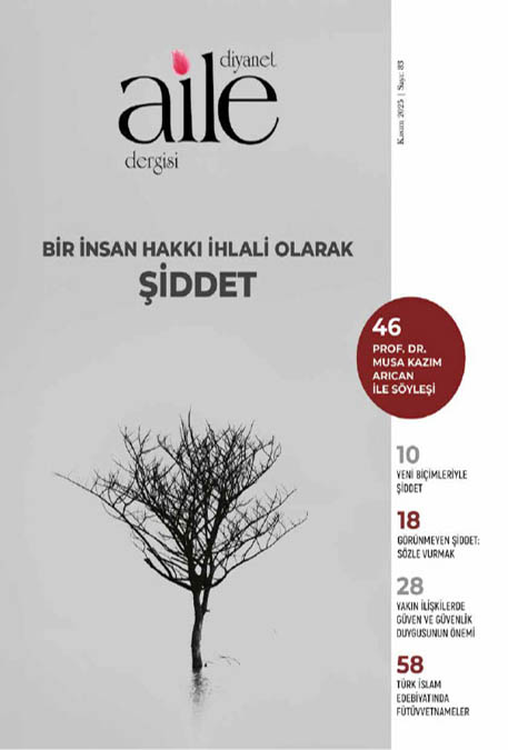 Bir İnsan Hakkı İhlali Olarak Şiddet