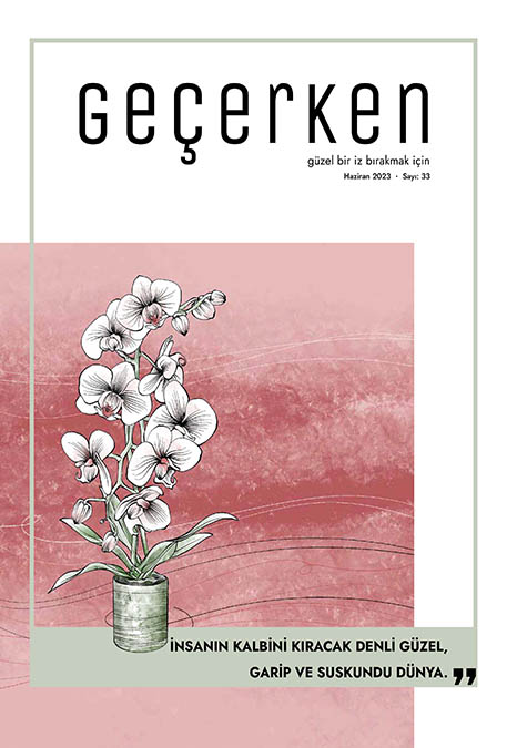 Diyanet Geçerken Dergisi