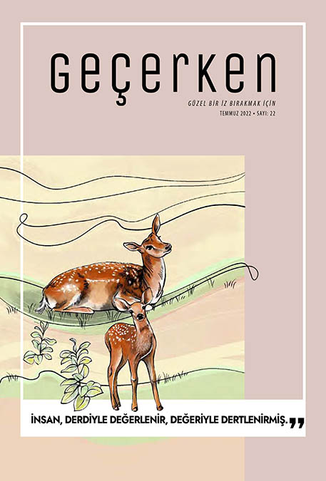 Diyanet Geçerken Dergisi